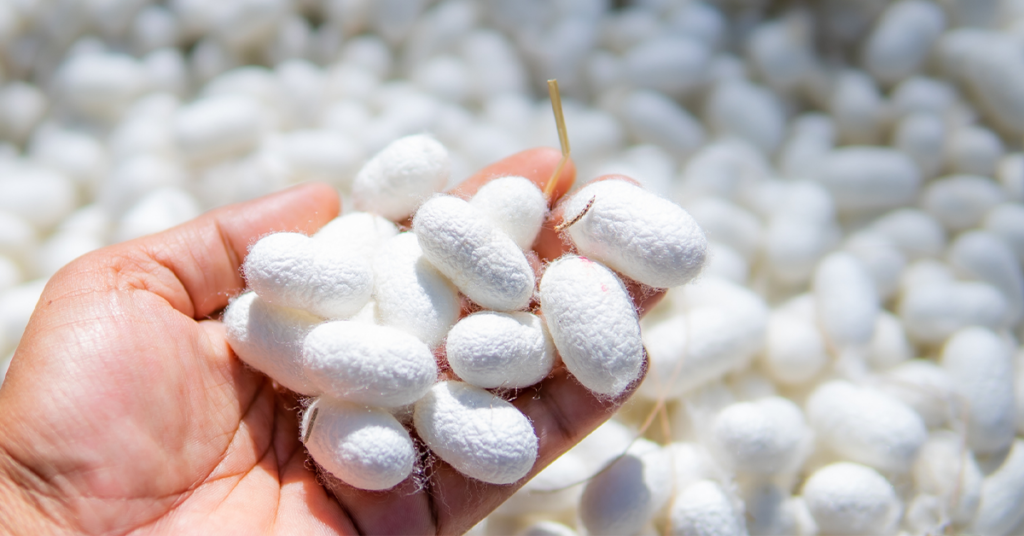 proces-proizvodnje-svile