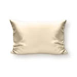 100% Svilena Bež Jastučnica 40x60cm